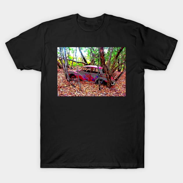 The Old Car! T-Shirt by Mickangelhere1